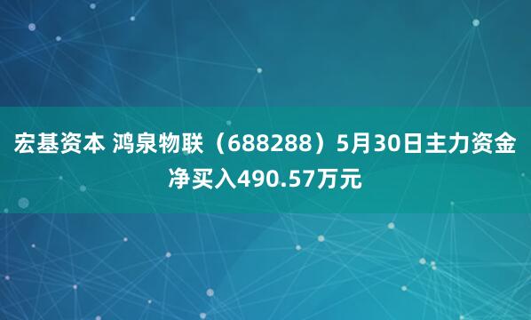 宏基资本 鸿泉物联(688288)5月30日主力资金净买入490.57万元