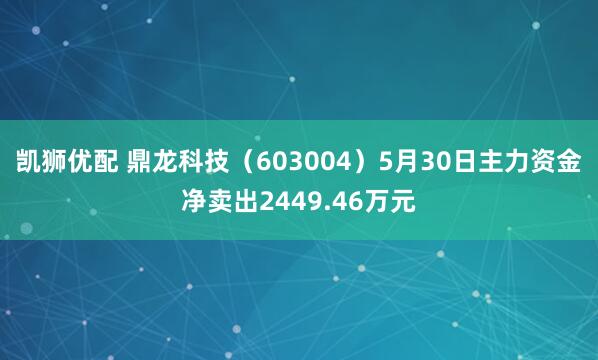 凯狮优配 鼎龙科技(603004)5月30日主力资金净卖出2449.46万元