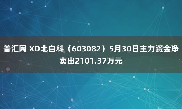 普汇网 XD北自科（603082）5月30日主力资金净卖出2101.37万元