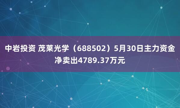 中岩投资 茂莱光学(688502)5月30日主力资金净卖出4789.37万元