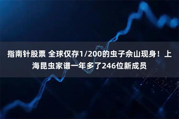 指南针股票 全球仅存1/200的虫子佘山现身！上海昆虫家谱一年多了246位新成员