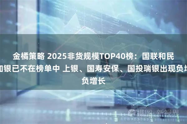 金橘策略 2025非货规模TOP40榜：国联和民生加银已不在榜单中 上银、国寿安保、国投瑞银出现负增长